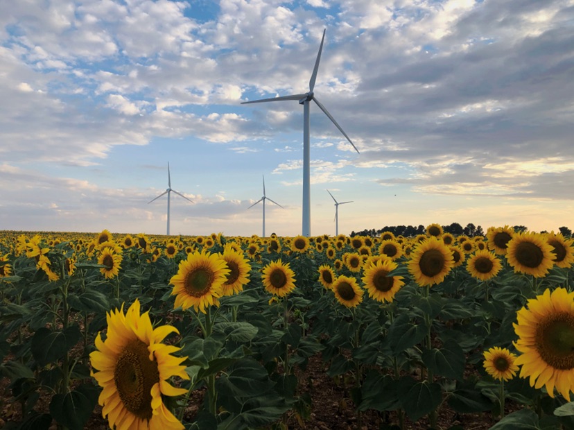 Foto Iberdrola repotenciará sus primeros cuatro parques eólicos en España y elevará su producción un 30%